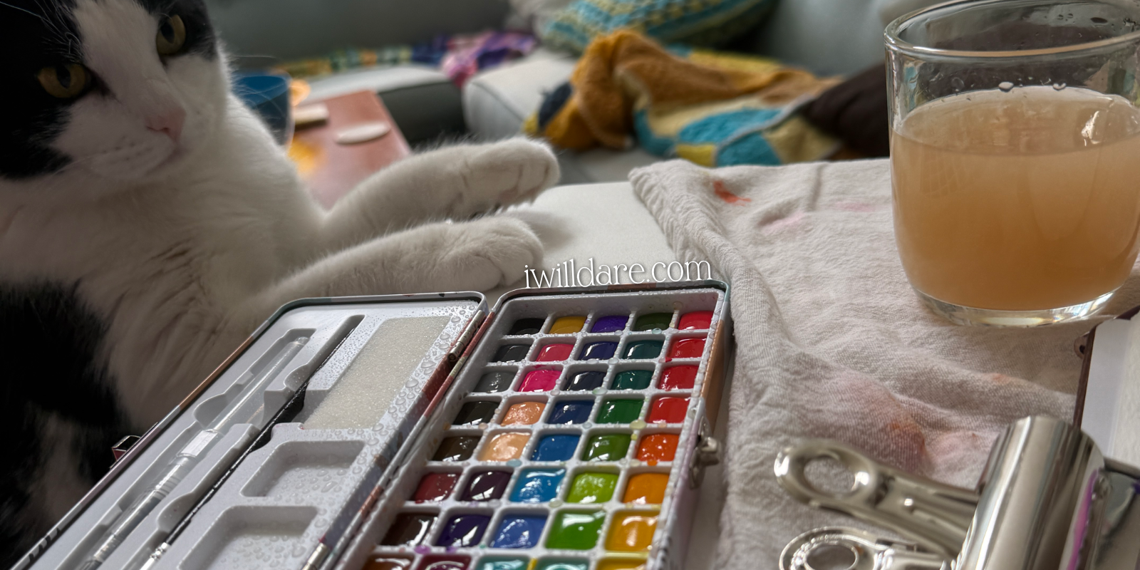 A watercolor palette and a cat